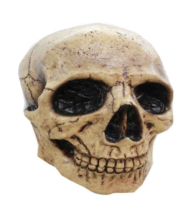 Headmask - Skull Tan 3